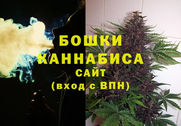 мет Магас