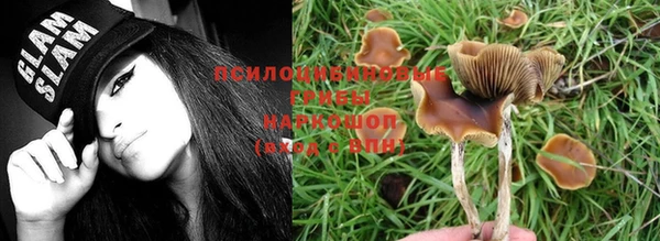 меф Майский