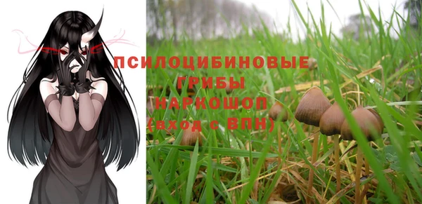 мет Магас