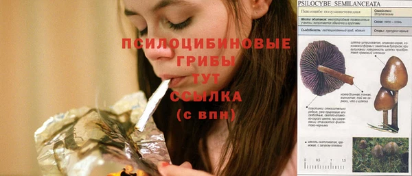 мет Магас
