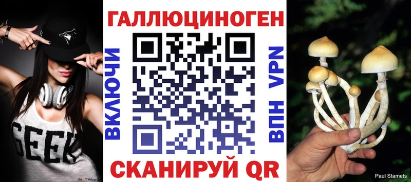 Купить закладки  Алупка  Псилоцибиновые грибы MAGIC MUSHROOMS 